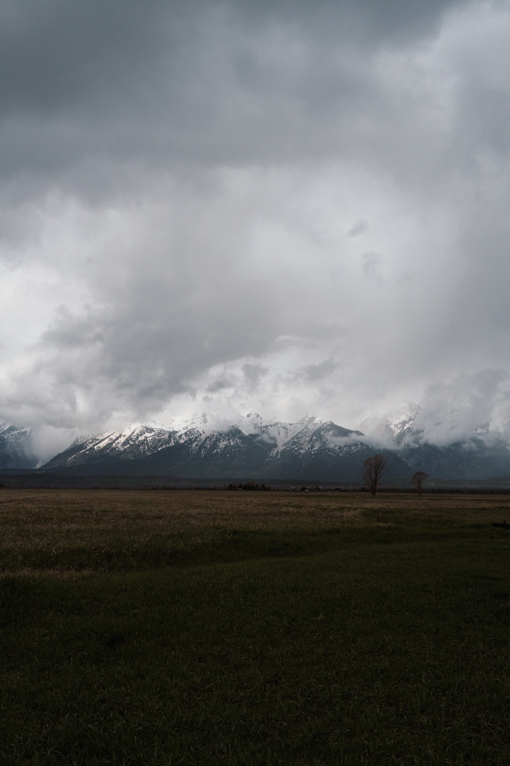 Heavy storm clouds gather above a snow-streaked mountain range and a broad grassy plain.