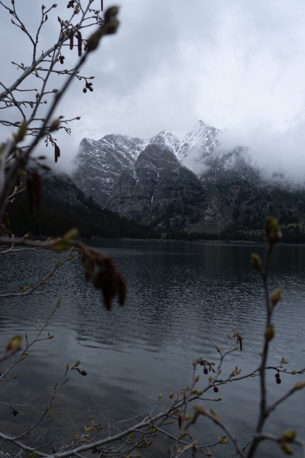 Snow-dusted mountains fading into low clouds above a dark lake, framed by soft-focus branches.
