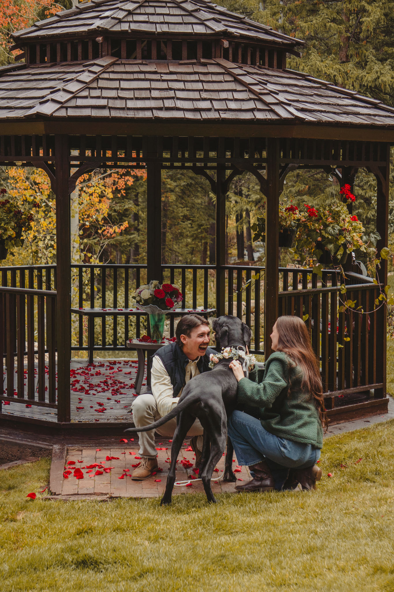 Couple crouching beside their dog outside a gazebo decorated with rose petals.