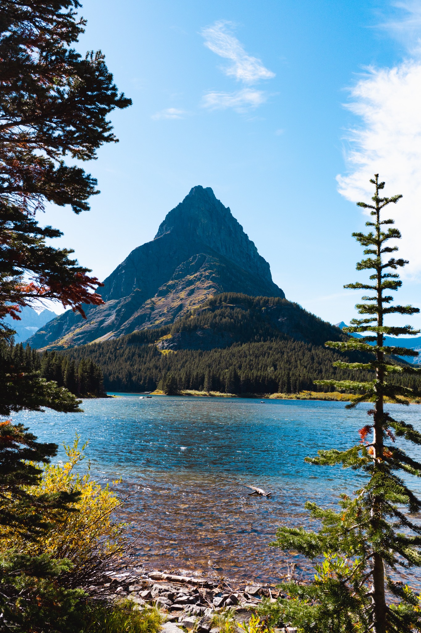 A pointed mountain above a blue lake, framed by pine trees and sunlit shore vegetation.
