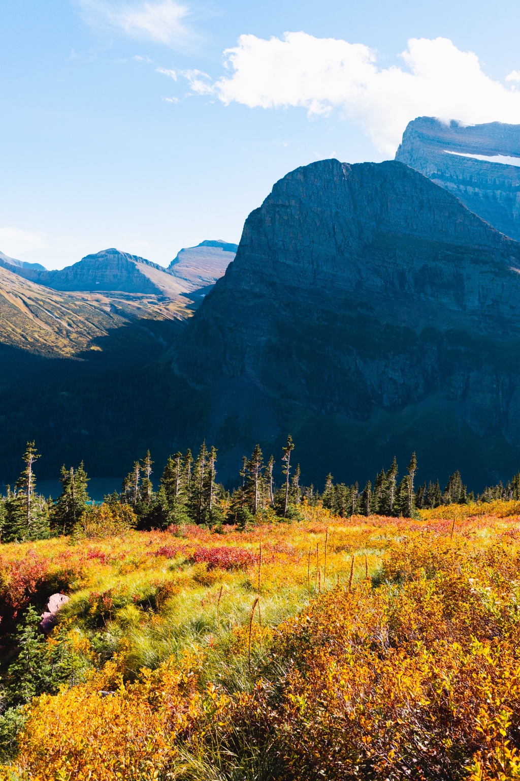 Gold and red alpine vegetation glows below a dramatic blue-shadowed mountain and a pale blue sky.