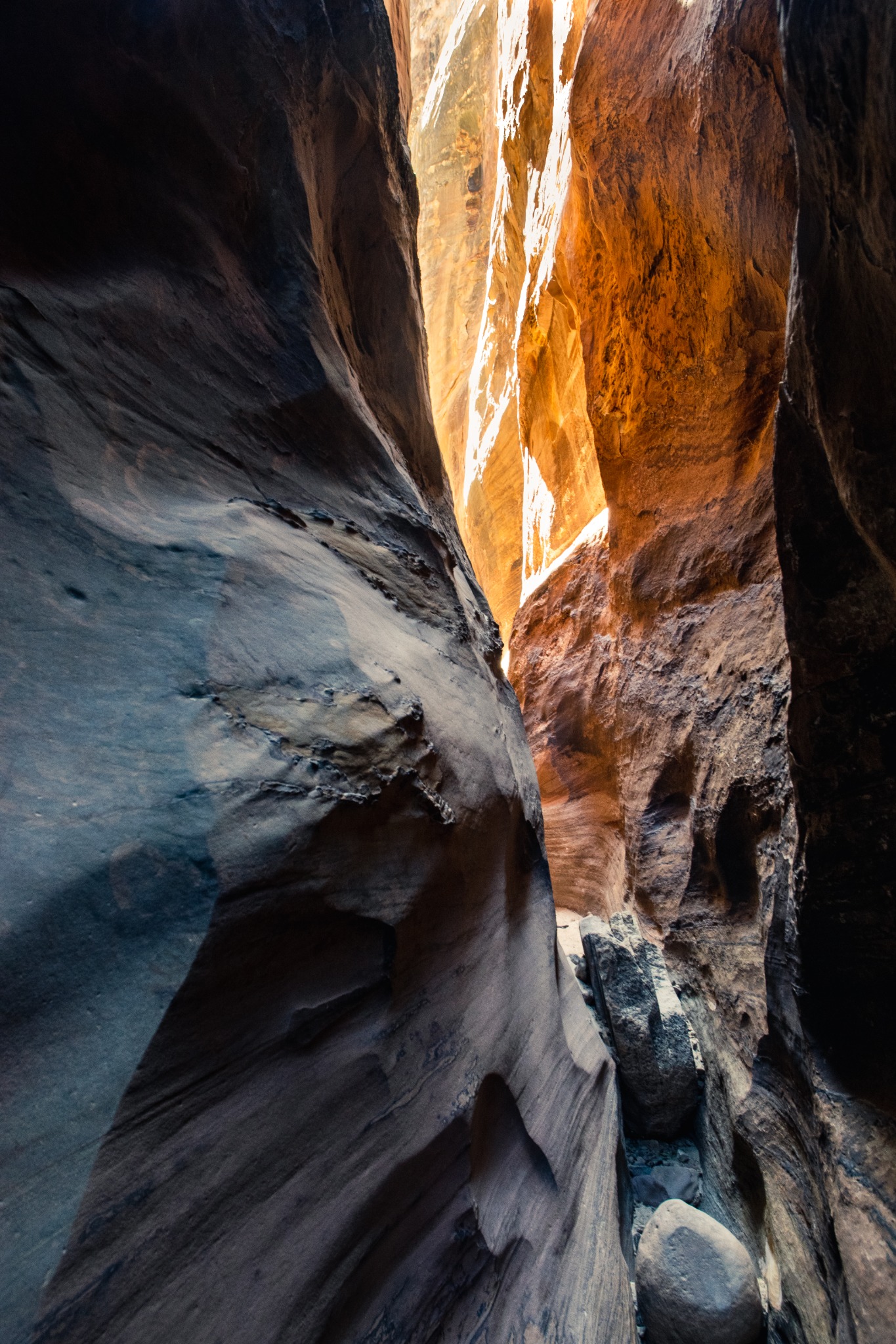 Warm sunlight on one wall of a narrow sandstone canyon beside curved rock in cool shadow.